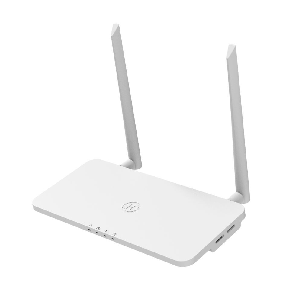 Modulo di monitoraggio DTU-Pro-S WiFi Hoymiles